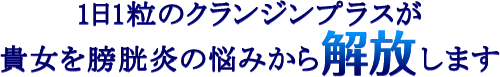 1日1粒のクランジンプラスが貴女を膀胱炎の悩みから解放します